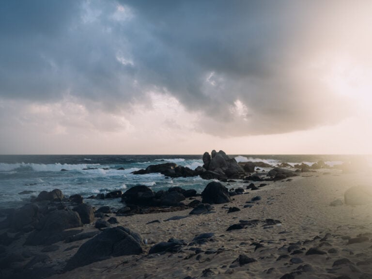 Aruba Audience Clarity Drives Growth challenge image
